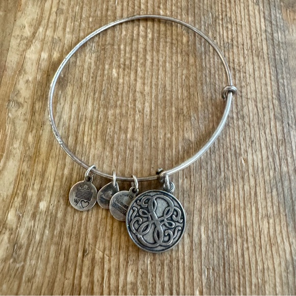 Alex and Ani Silver Charm Bracelet - Picture 1 of 2